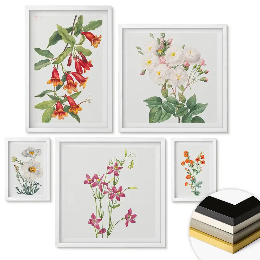 Set de 5 tablouri înrămate Inspirații florale în culori delicate
