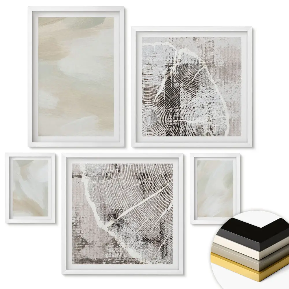 Set de 5 tablouri înrămate cu modele abstracte în culori delicate