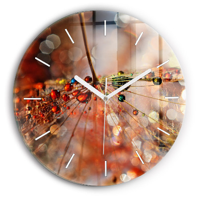 Ceas perete din sticlă rotund unic Păpădie cu rouă